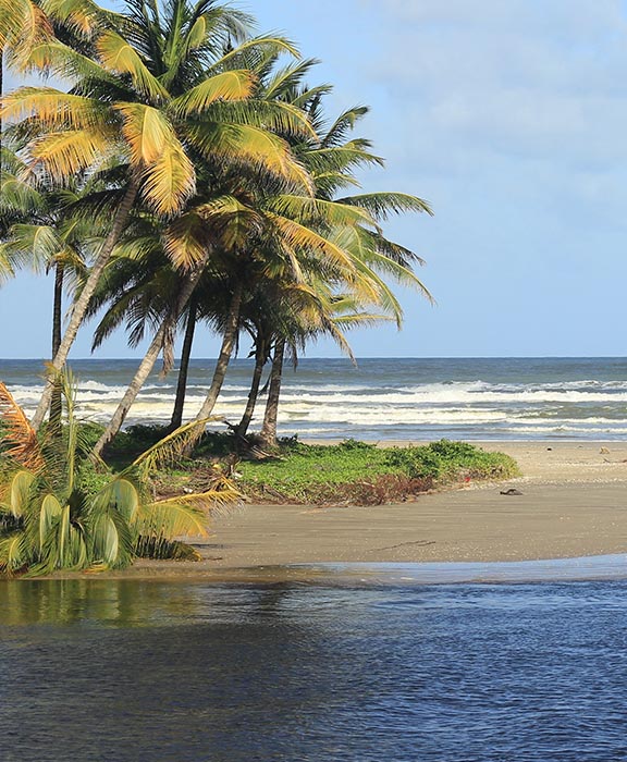 Mount Irvine Bay  Reisen & Urlaub 2024 / 2025 günstig buchen