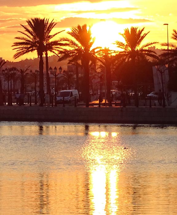 La Marsa  Reisen & Urlaub 2024 / 2025 günstig buchen