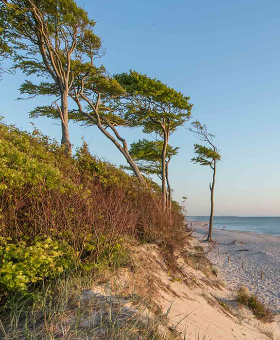 Ostseebad Bansin  Reisen & Urlaub 2024 / 2025 günstig buchen