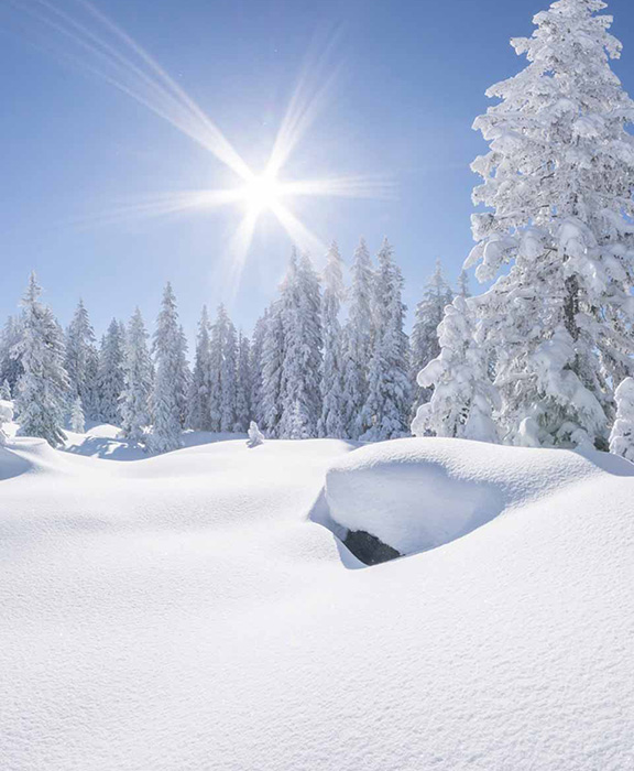 Winter Reisen & Urlaub 2024 / 2025 günstig buchen
