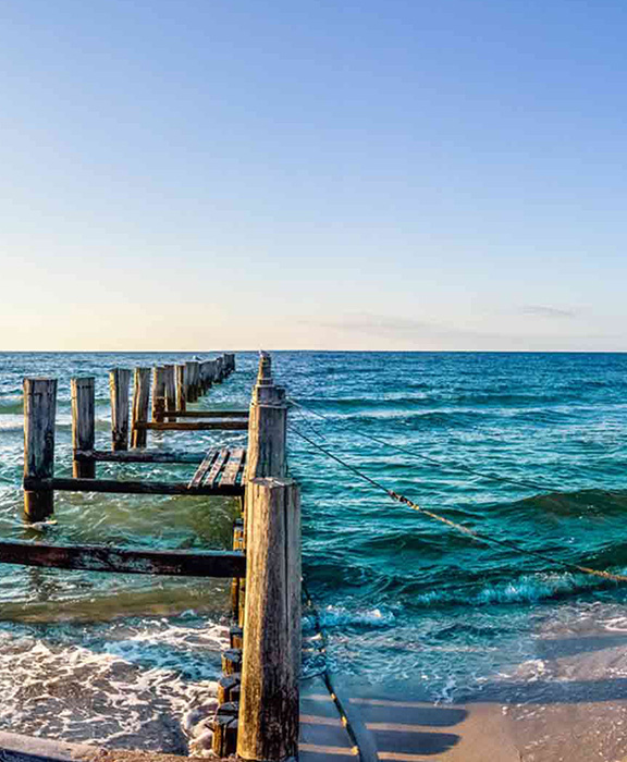 Zingst  Reisen & Urlaub 2024 / 2025 günstig buchen