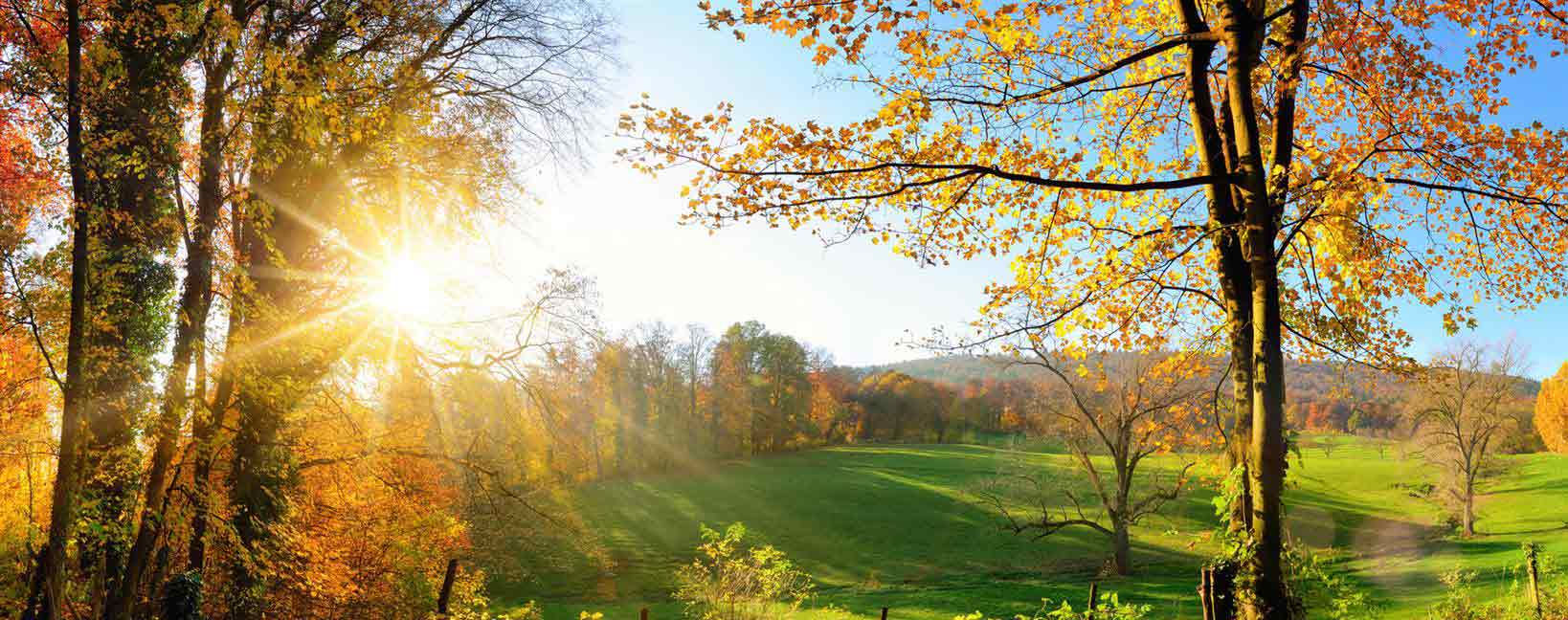 Deutschland Urlaub günstig buchen auf Günstiger-Reisen.de