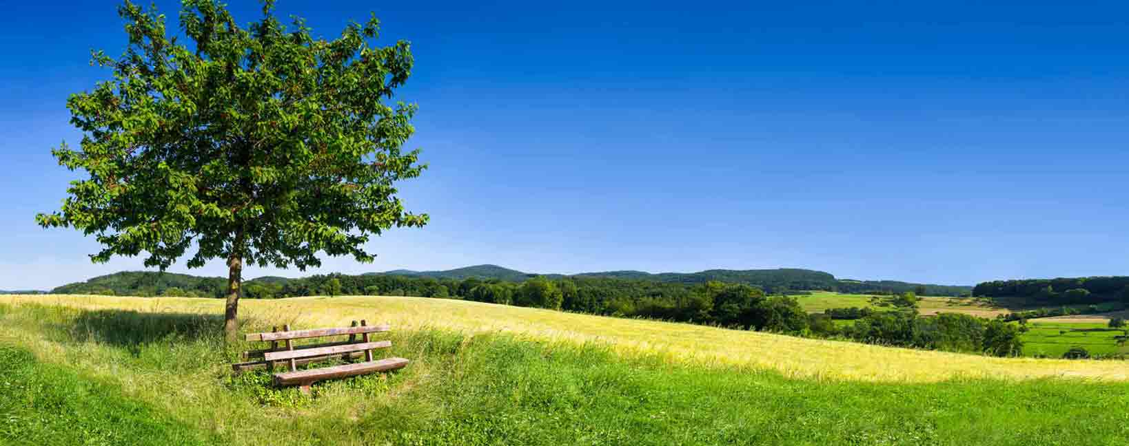 Urlaub im Frühling günstig buchen auf Günstiger-Reisen.de