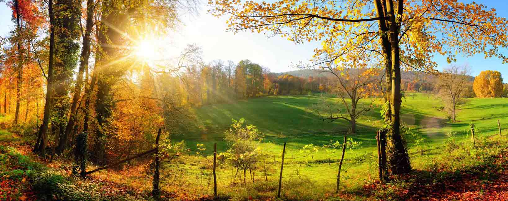 Urlaub im Herbst günstig buchen auf Günstiger-Reisen.de