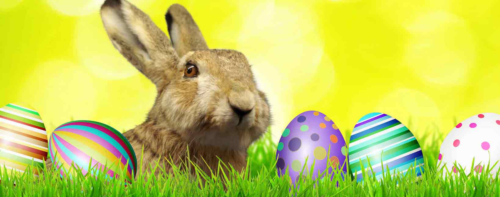 Urlaub zu Ostern günstig buchen auf Günstiger-Reisen.de