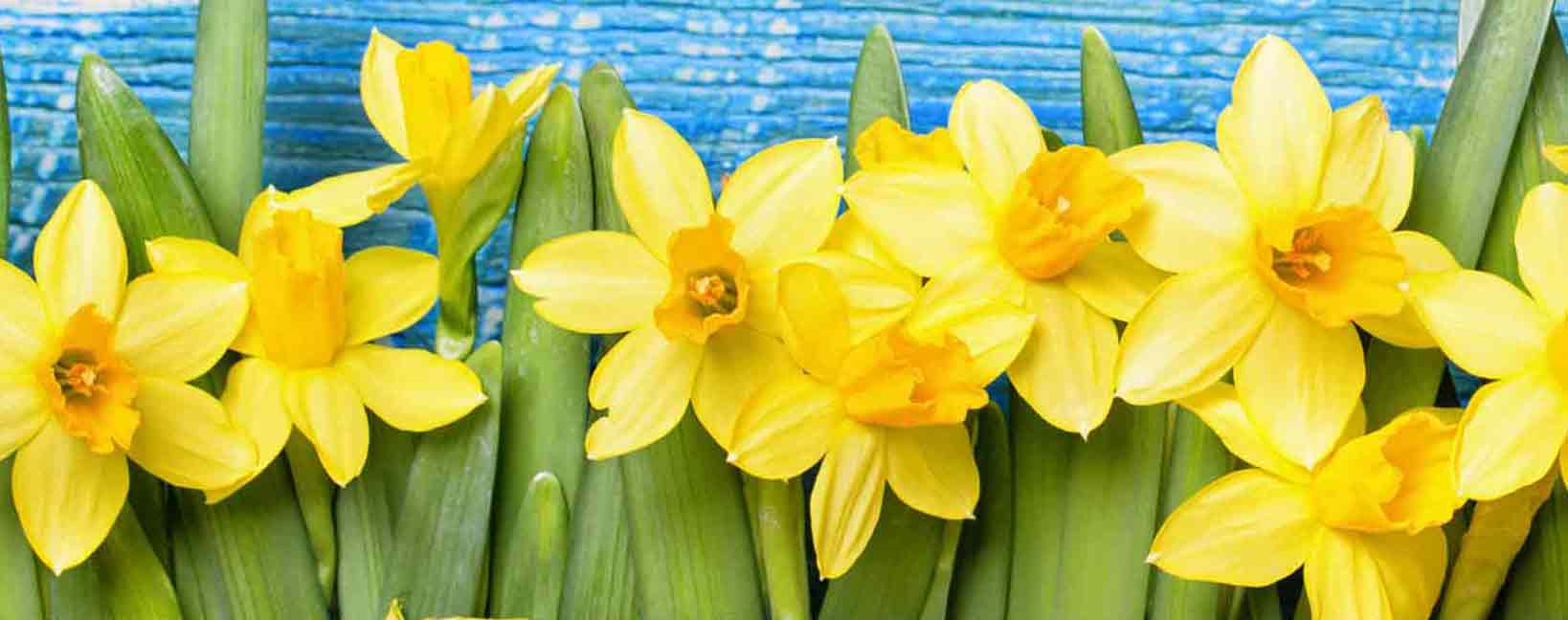 Urlaub zu Pfingsten günstig buchen auf Günstiger-Reisen.de